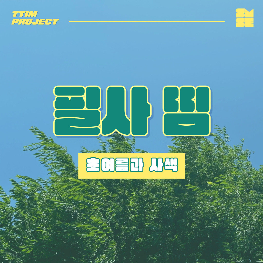 필사 띰